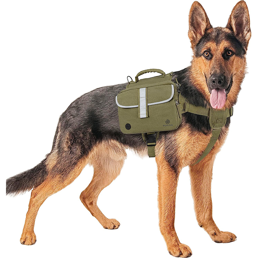 Hunderucksack für mittelgroße und große Hunde, Hundesatteltasche für Hunde mit reflektierenden Sicherheitsseitentaschen, Wandern, Camping, Haustiertasche RJ206116