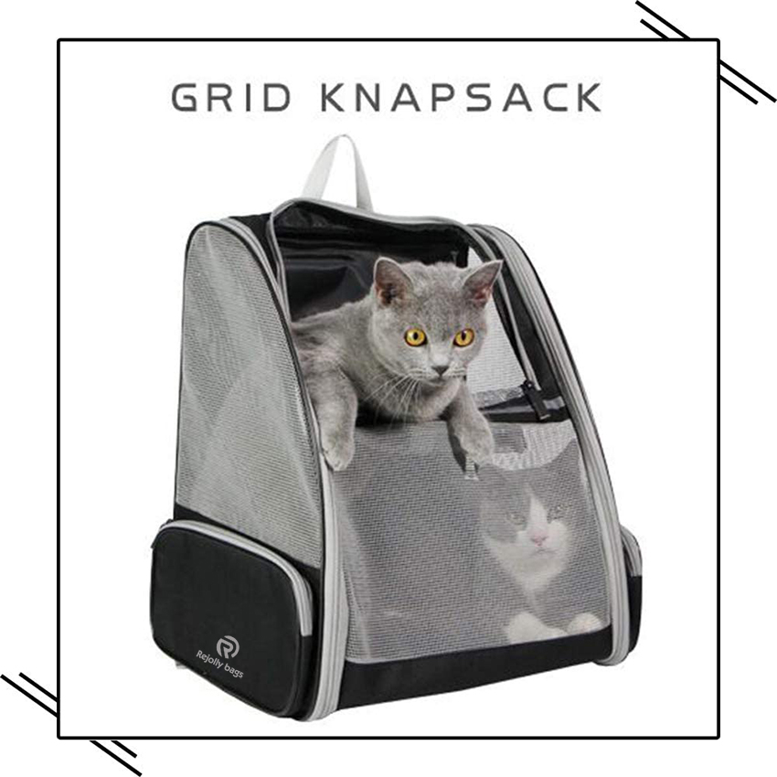 Innovative Traveller Bubble Backpack Haustiertransportboxen für Katzen und Hunde, langlebige Haustiertasche RJ206102