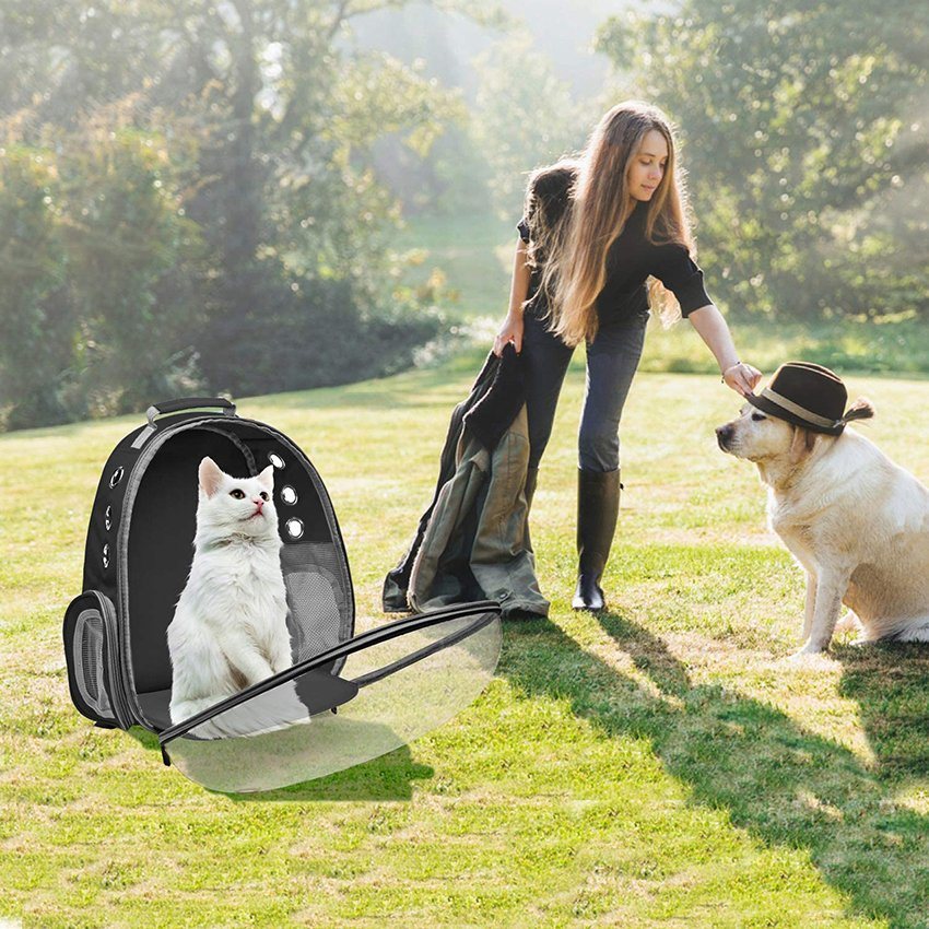 Cat Pet Carrier Bubble Bag Kleiner Hunderucksack Space Capsule Travel Carrier