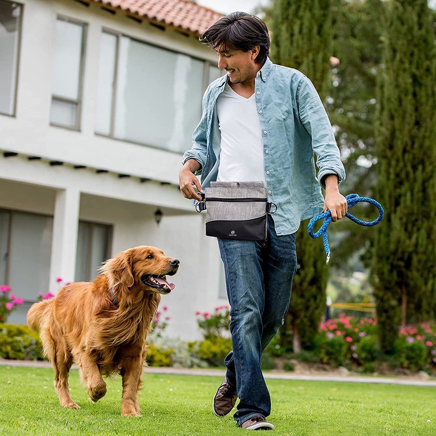 Hunde-Leckerli-Tasche für das Training, Haustier-Leckerli-Tasche mit Magnetverschluss, Welpenfutterträger mit abnehmbarem, wasserdichtem Futter