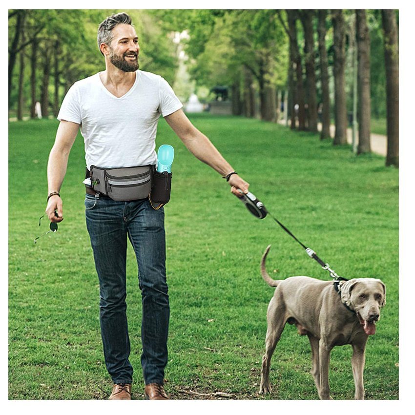 Leckerli-Tasche für das Training, freihändige Taillen-Haustiertasche für Welpenklasse, Reisen, Laufen, Spazierengehen, Wandern