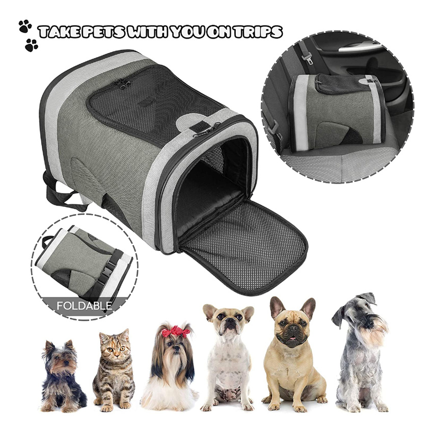 Leichte kleine Haustiertasche, tragbarer Hund, Katze, Outdoor-Reiserucksack